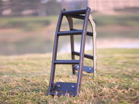 Climbing Ladder