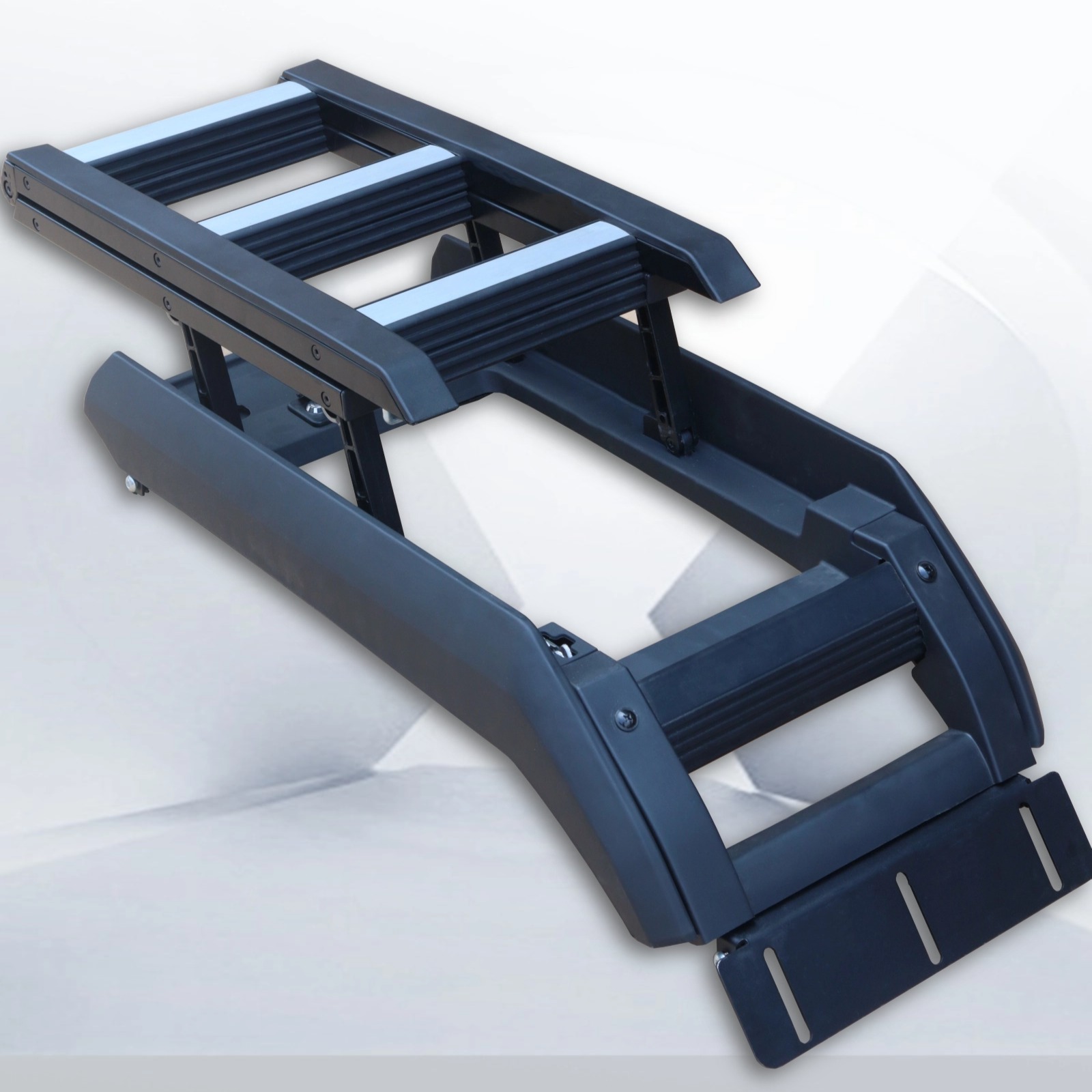 Folding ladder