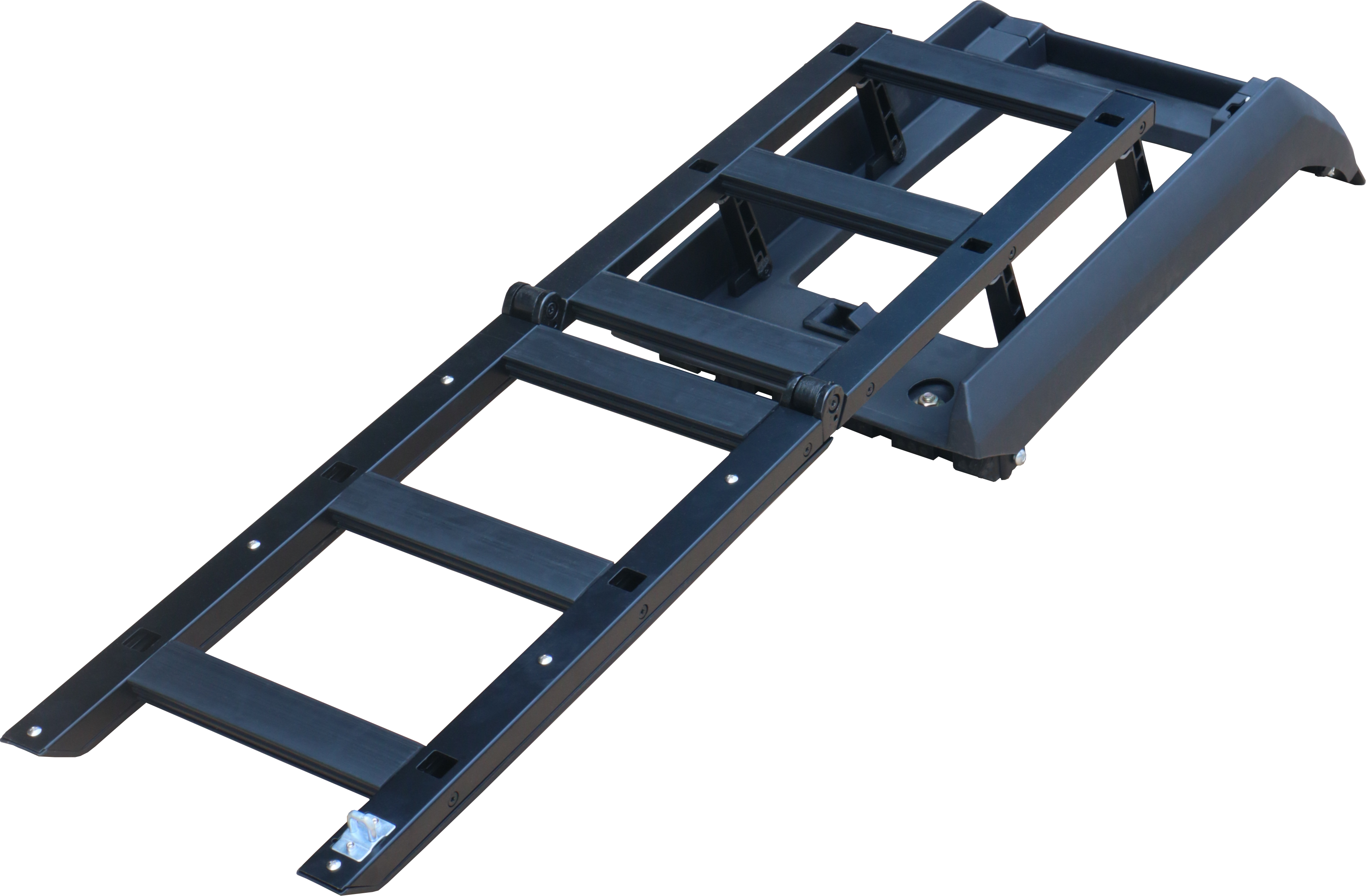 Folding ladder